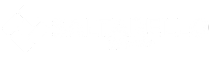 Saltarello bricks-3
